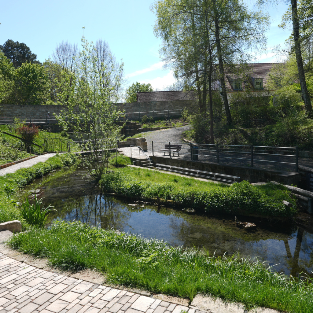 Idyllischer Kurpark in Bad Königshofen mit Bachlauf, grüner Wiese, Spazierwegen und einem Kneipp-Becken unter Bäumen an einem sonnigen Frühlingstag