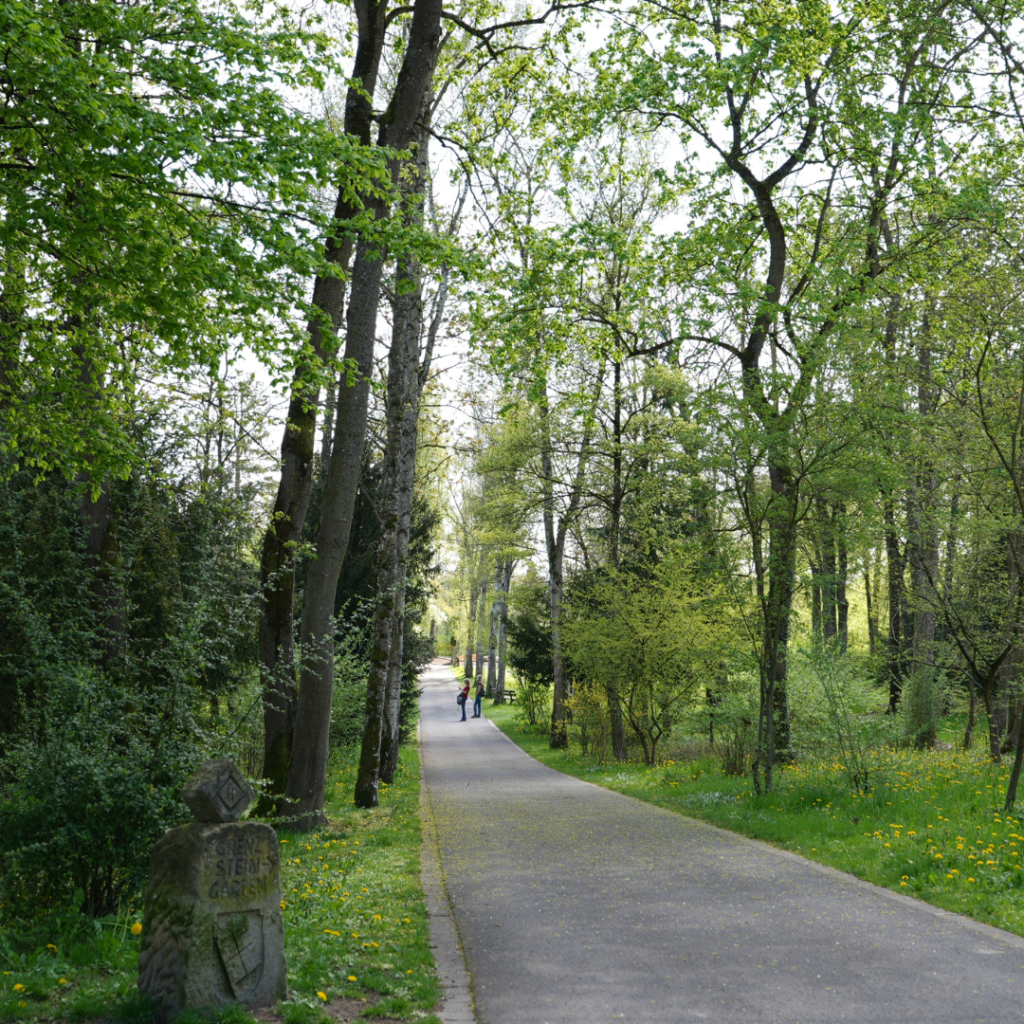 Asphaltierter Weg durch den grünen Kurpark von Bad Königshofen, umgeben von hohen Bäumen und frischem Frühlingsgrün – ideal zum Spazieren und Entspannen