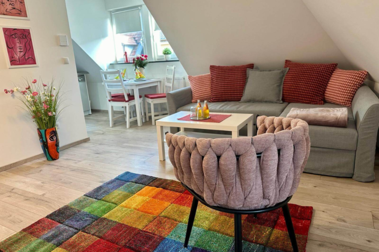 Wohnbereich mit grauem Sofa, roten Kissen und farbenfrohem Teppich in der Ferienwohnung GoJa