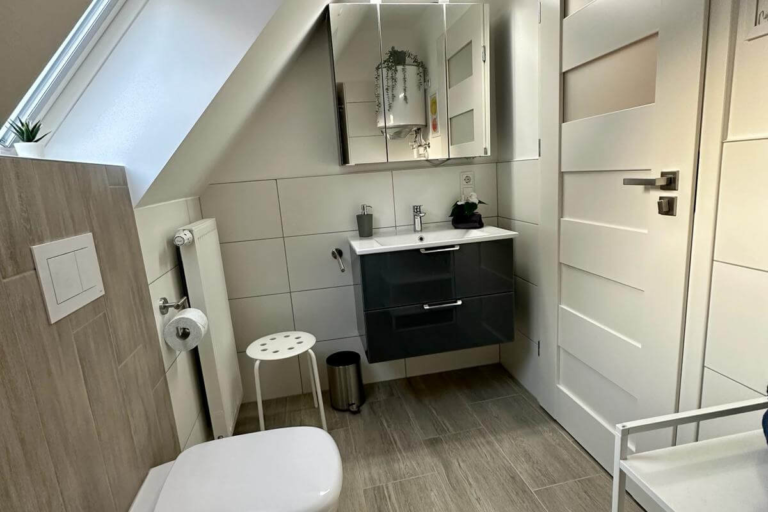 Modernes Badezimmer mit Dachfenster, WC und Waschtisch in der Ferienwohnung