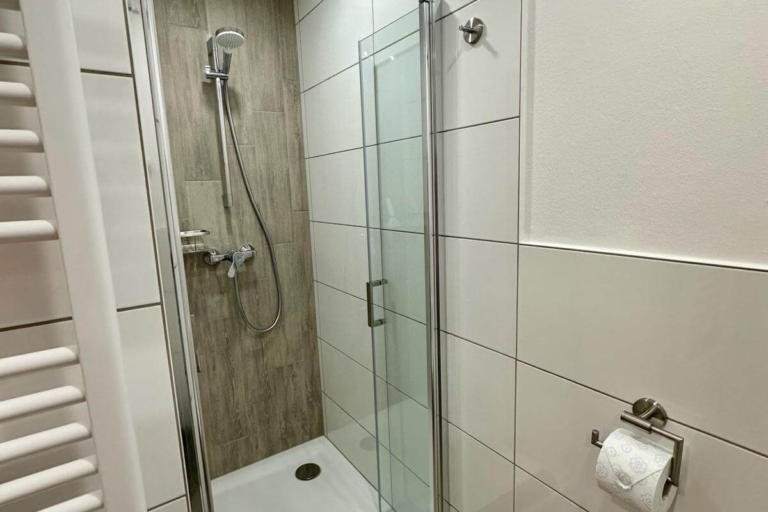 Moderne Dusche mit Glasabtrennung in der Ferienwohnung GoJa