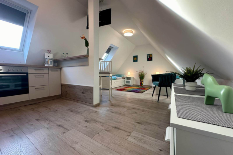 Moderne Frühstücksbar mit TV unter dem Dach in der Ferienwohnung